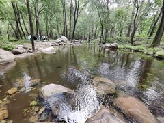 -玉渡山自然风景区