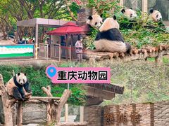 -秦云老太婆摊摊面(全国总店)