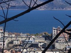 -月亮湾湿地公园