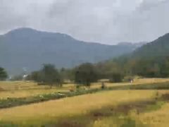 -塔川景区