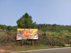 -青龙山国家森林公园