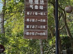 -呀诺达热带雨林