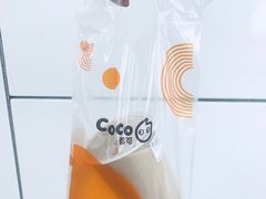 -CoCo都可(骆家庄新店)