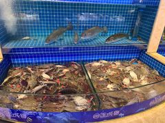 -乔哥铭洋海鲜自助(皇城恒隆广场店)