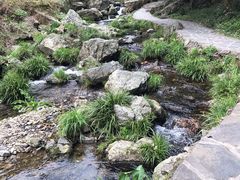 -夏霖九天银瀑风景区