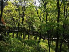 -善卷洞风景区