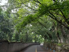 -西南政法大学(沙坪坝校区)