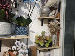 -FEI FEI FLOWER鲜花店·气球派对·宝宝宴布置(虹口德必运动Loft店)