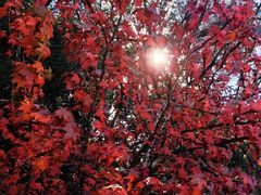 -崇圣寺三塔文化旅游区