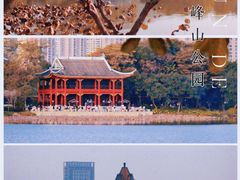 -顺峰山公园