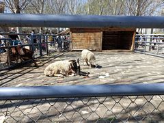 -长白岛森林公园