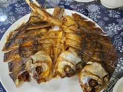 -龙小海荆沙鸽子店(瑞安街店)