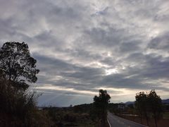 -中海·庐山西海君澜度假酒店·味屿全日制餐厅