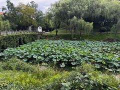 -日出青木·杭帮菜名店