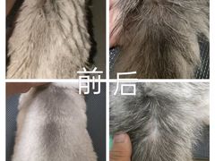 -听TA说宠咖·宠物生活馆(天韵水岸店)