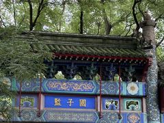 -北京国子监胡同