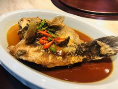 -金轩中餐厅 Jin Xuan(浦东丽思卡尔顿酒店)