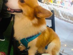 -豫楚源美猴王·面(武展店)