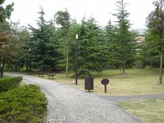 -中国浦东干部学院