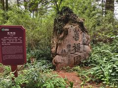 -綦江古剑山