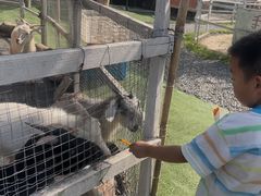 -桃园农庄·桃源宴