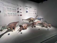 -自贡恐龙博物馆