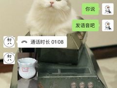 -初八专业级手工DIY陶艺社·户外研学·创意DIY首饰