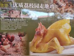 -茗荔园农庄(大涌店)