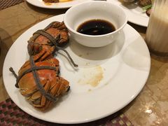 -常州富力喜来登酒店 Feast盛宴标帜西餐厅(新北万达广场店)