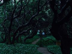 -荔香公园