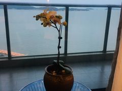 -舟山希尔顿酒店