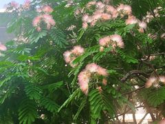 -西湖文化广场