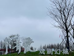 -荷兰花海