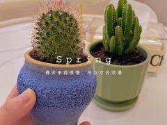 -宜家家居(四元桥商场店)