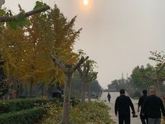 -赵州桥景区