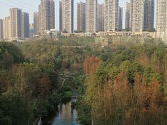 -重庆彩云湖湿地公园