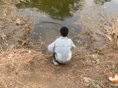 -蒲河岛湿地公园