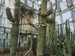 -北京植物园-展览温室