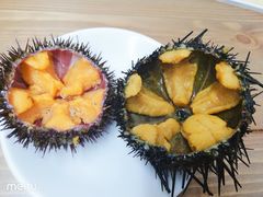 -海胆小馆(东北水饺·春柳店)