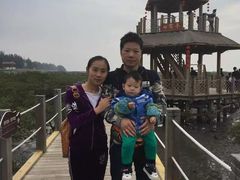 -北海金海湾红树林生态旅游区