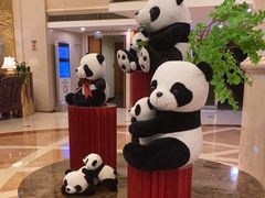 -成都绿洲大酒店(春熙路太古里店)