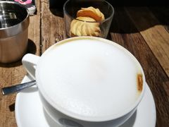 -D STAR COFFEE帝星咖啡