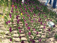 -长春公园(普阳街道)