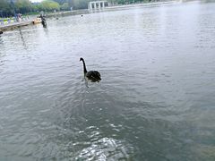 -长春世界雕塑园冰雪艺术天地