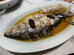 鲥鱼-蘭心·臻品(瑞虹太阳宫店)