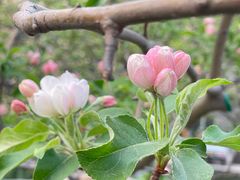 -元大都城垣遗址公园