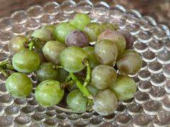 -金稼园·金平湖农家菜