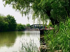 -西溪国家湿地公园