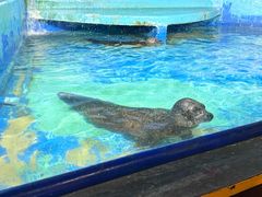 -太平洋海底世界