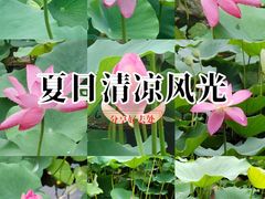 -丰台科技园生态主题公园